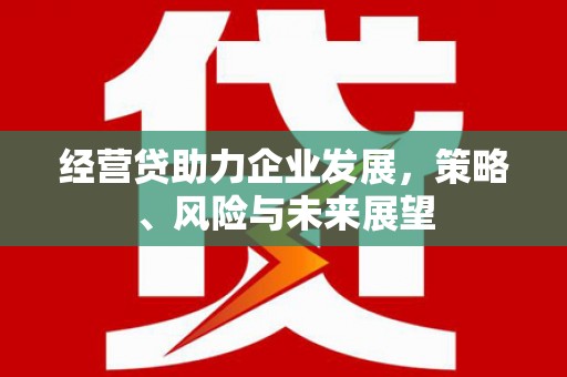 莱西经营贷助力企业发展，策略、风险与未来展望