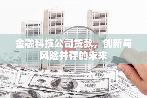 莱西金融科技公司贷款，创新与风险并存的未来