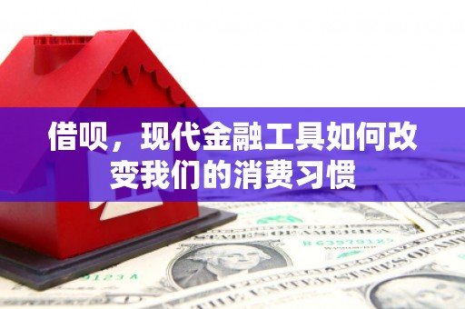 莱西借呗，现代金融工具如何改变我们的消费习惯