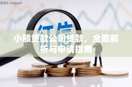 莱西小额贷款公司贷款，全面解析与申请指南