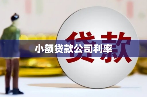 莱西小额贷款公司利率