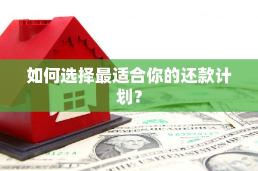 莱西如何选择最适合你的还款计划？