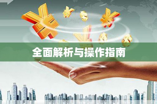 莱西全面解析与操作指南