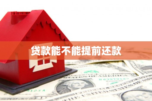 莱西贷款能不能提前还款