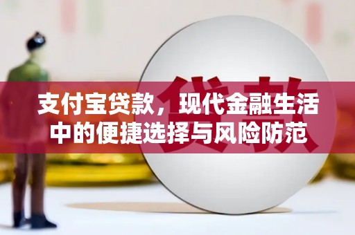 莱西支付宝贷款，现代金融生活中的便捷选择与风险防范