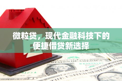 莱西微粒贷，现代金融科技下的便捷借贷新选择