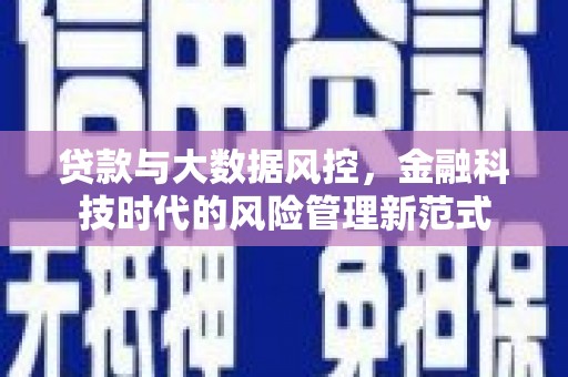莱西贷款与大数据风控，金融科技时代的风险管理新范式