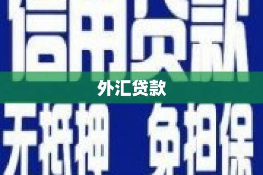莱西外汇贷款