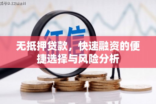 莱西无抵押贷款，快速融资的便捷选择与风险分析