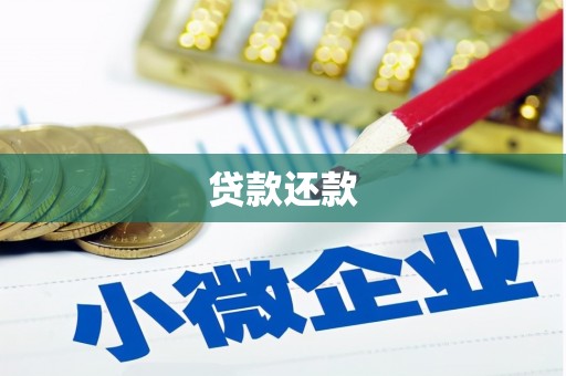 莱西贷款还款