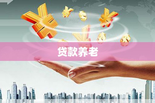 莱西贷款养老