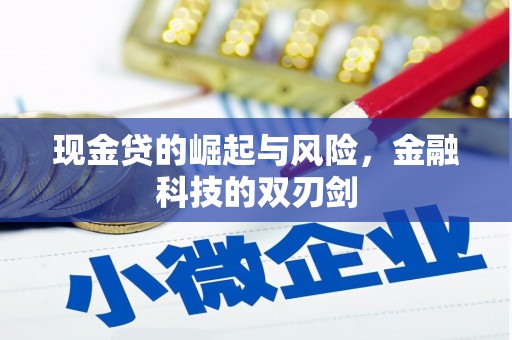 莱西现金贷的崛起与风险，金融科技的双刃剑
