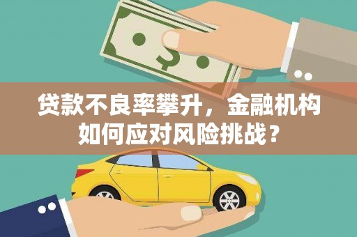 莱西贷款不良率攀升，金融机构如何应对风险挑战？