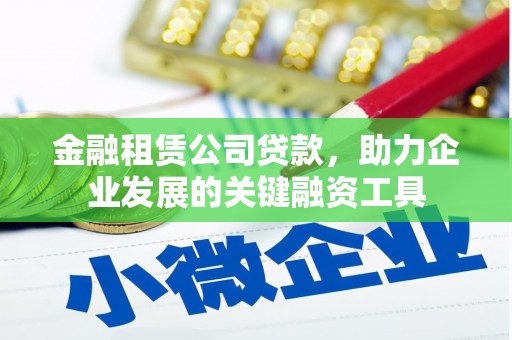 莱西金融租赁公司贷款，助力企业发展的关键融资工具
