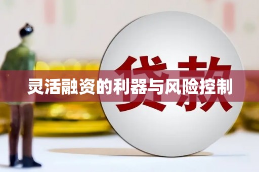莱西灵活融资的利器与风险控制