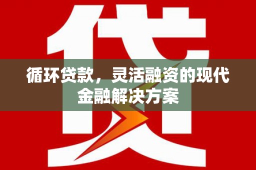 莱西循环贷款，灵活融资的现代金融解决方案