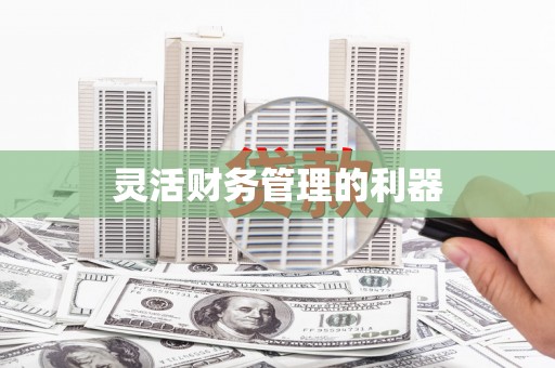 莱西灵活财务管理的利器
