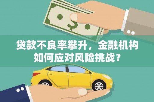 莱西贷款不良率攀升，金融机构如何应对风险挑战？
