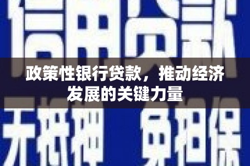 莱西政策性银行贷款，推动经济发展的关键力量