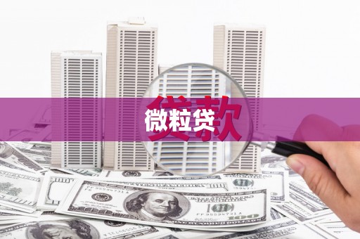 莱西微粒贷