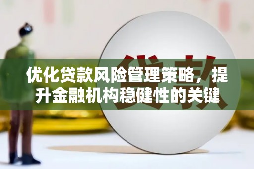莱西优化贷款风险管理策略，提升金融机构稳健性的关键