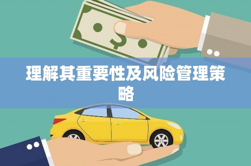 莱西理解其重要性及风险管理策略