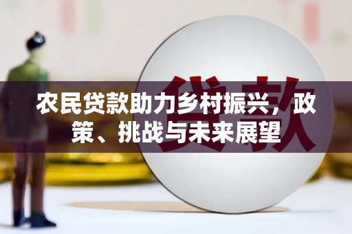 莱西农民贷款助力乡村振兴，政策、挑战与未来展望