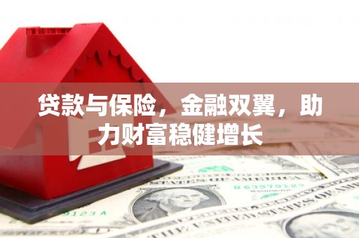 莱西贷款与保险，金融双翼，助力财富稳健增长