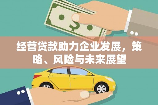 莱西经营贷款助力企业发展，策略、风险与未来展望