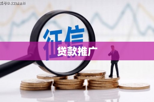莱西贷款推广