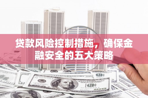 莱西贷款风险控制措施，确保金融安全的五大策略