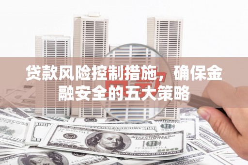 莱西贷款风险控制措施，确保金融安全的五大策略