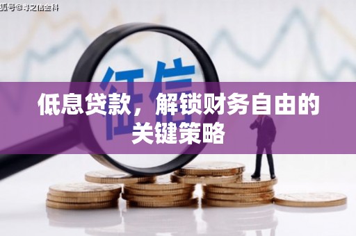 莱西低息贷款，解锁财务自由的关键策略