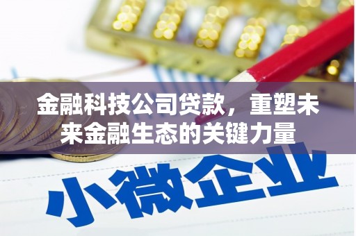 莱西金融科技公司贷款，重塑未来金融生态的关键力量