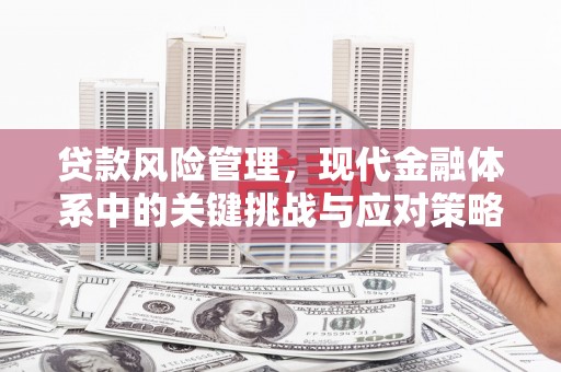 莱西贷款风险管理，现代金融体系中的关键挑战与应对策略