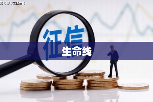 莱西生命线