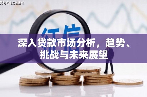 莱西深入贷款市场分析，趋势、挑战与未来展望