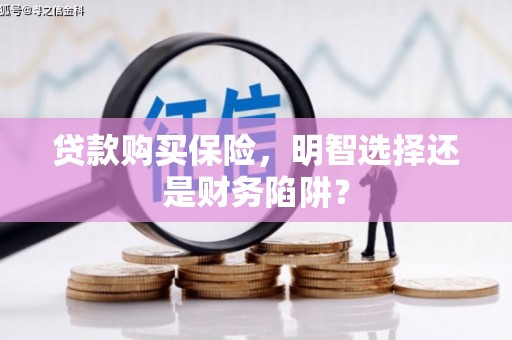 莱西贷款购买保险，明智选择还是财务陷阱？