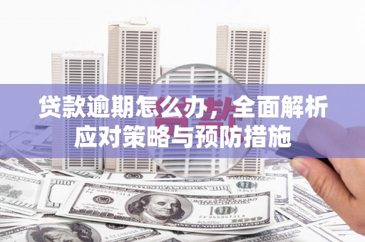 莱西贷款逾期怎么办，全面解析应对策略与预防措施