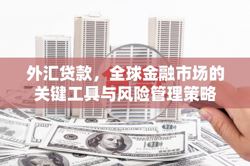 莱西外汇贷款，全球金融市场的关键工具与风险管理策略