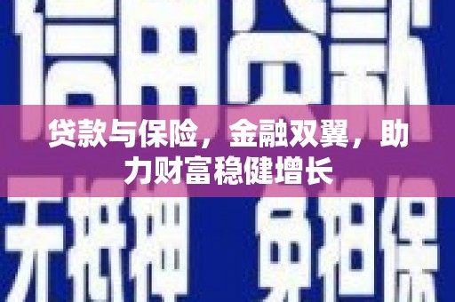 莱西贷款与保险，金融双翼，助力财富稳健增长