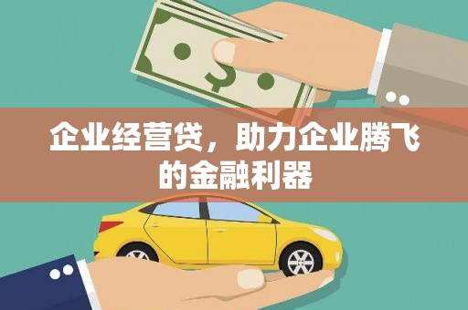 莱西企业经营贷，助力企业腾飞的金融利器