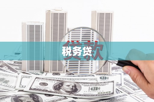 莱西税务贷