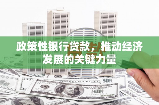 莱西政策性银行贷款，推动经济发展的关键力量
