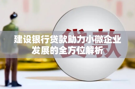 莱西建设银行贷款助力小微企业发展的全方位解析