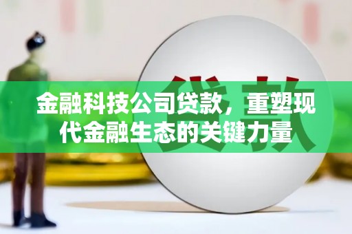 莱西金融科技公司贷款，重塑现代金融生态的关键力量