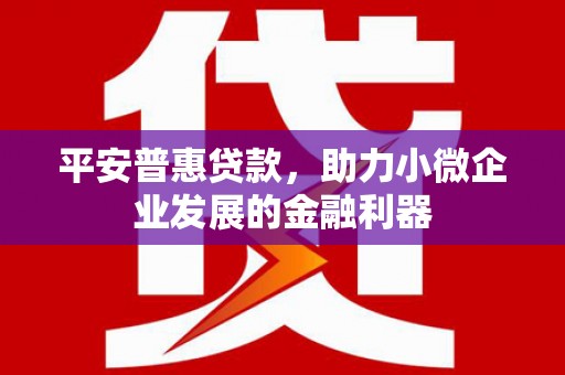 莱西平安普惠贷款，助力小微企业发展的金融利器