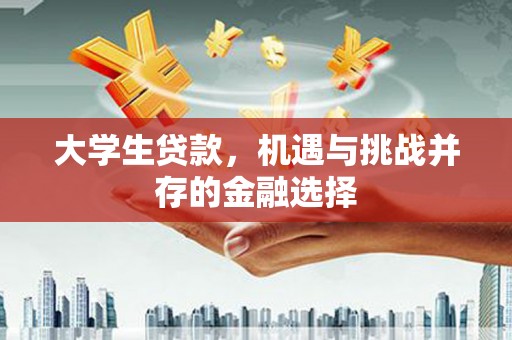 莱西大学生贷款，机遇与挑战并存的金融选择