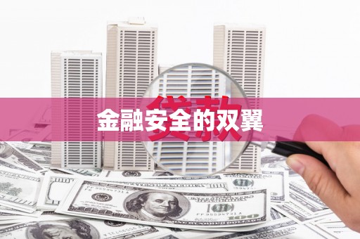 莱西金融安全的双翼