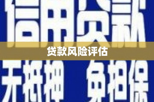 莱西贷款风险评估